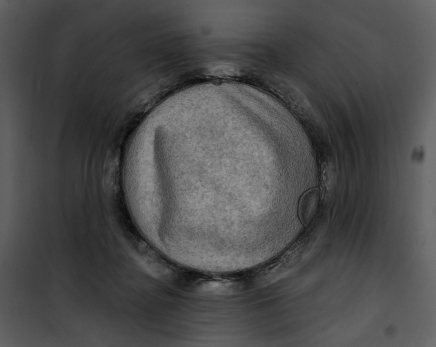 X0000101160364200807181404