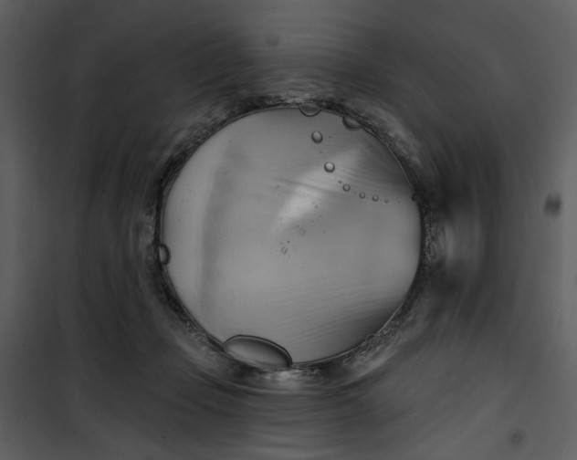 X0000101160365200807181404