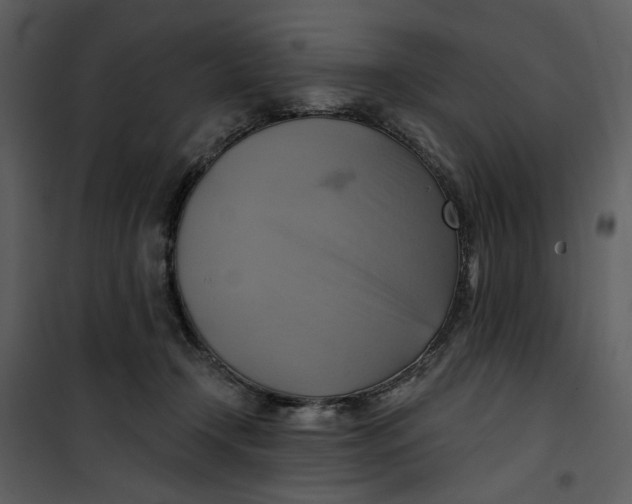 X0000101160366200807181404