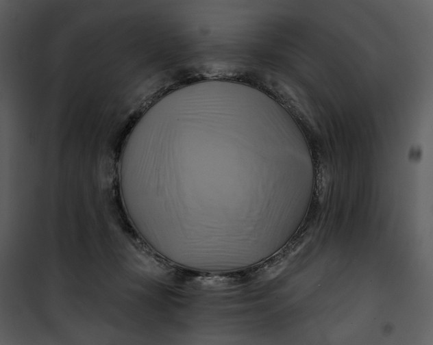 X0000101160367200807181404
