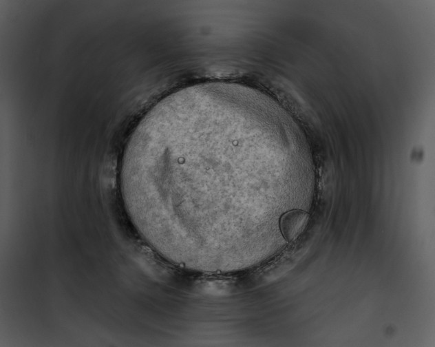 X0000101160368200807181404
