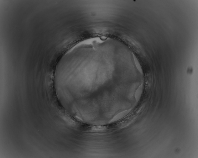 X0000101160369200807181404