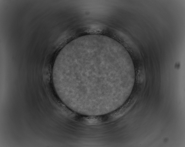 X0000101160370200807181404