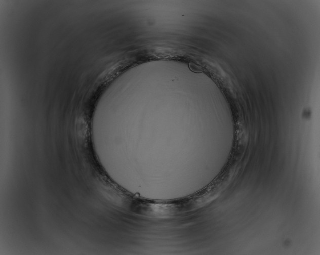 X0000101160371200807181404