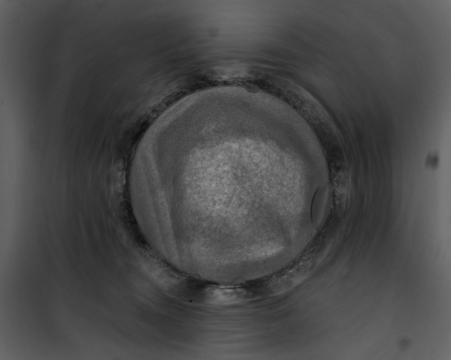 X0000101160372200807181404