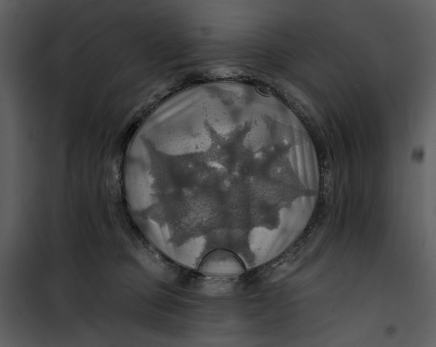 X0000101160373200807181404