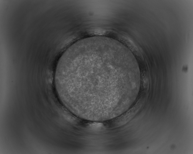 X0000101160374200807181404
