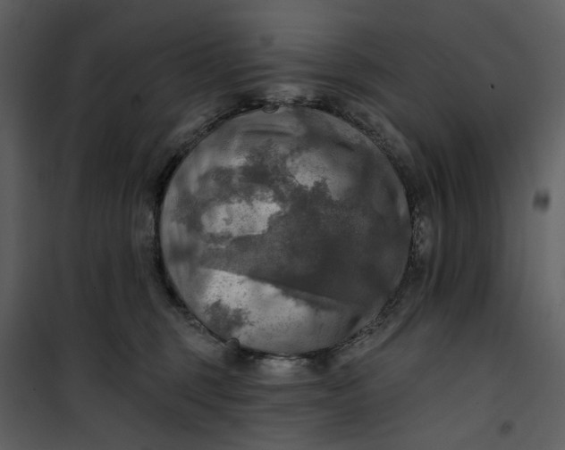 X0000101160375200807181404