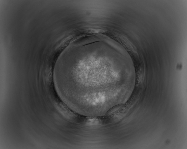 X0000101160376200807181405