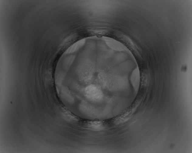 X0000101160377200807181405