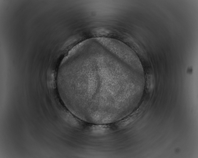 X0000101160378200807181405