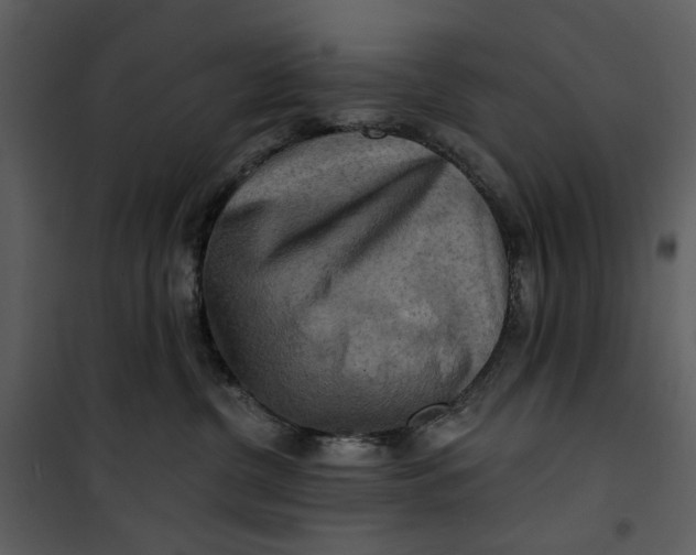 X0000101160380200807181405