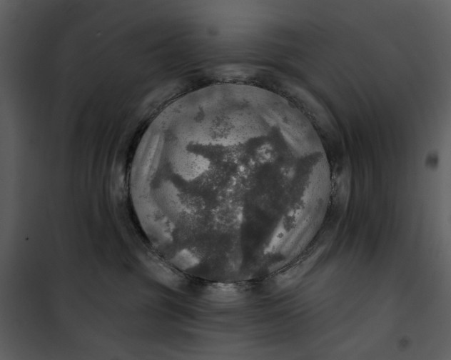 X0000101160381200807181405
