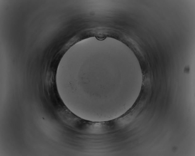 X0000101160382200807181405