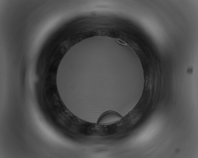 X0000101160383200807181405