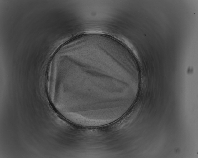 X0000101160385200807181404