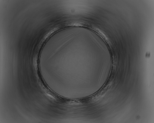 X0000101160386200807181404