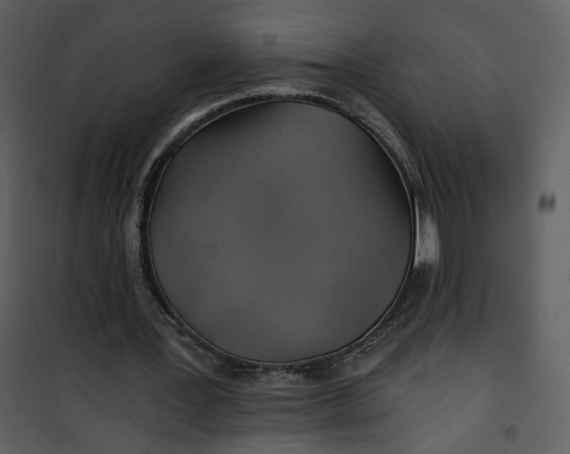 X0000101160387200807181404