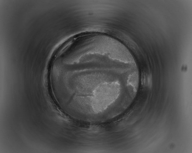 X0000101160388200807181404