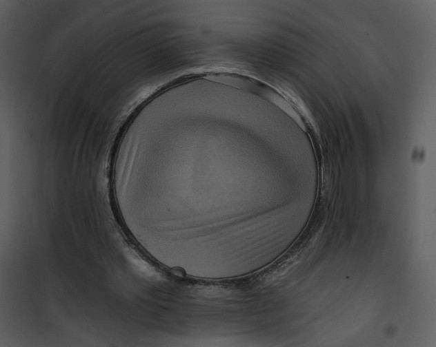 X0000101160389200807181404