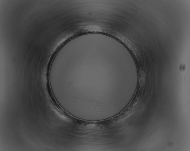 X0000101160390200807181404