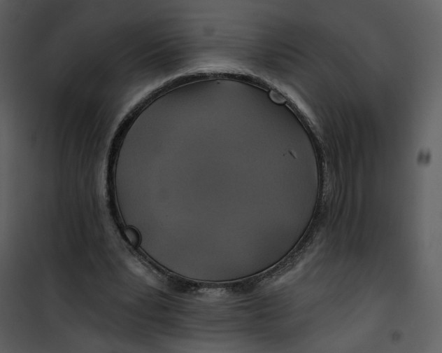 X0000101160391200807181404