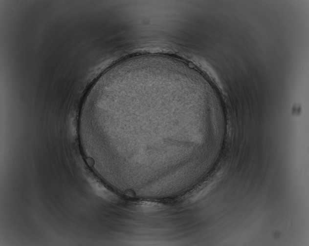 X0000101160393200807181404