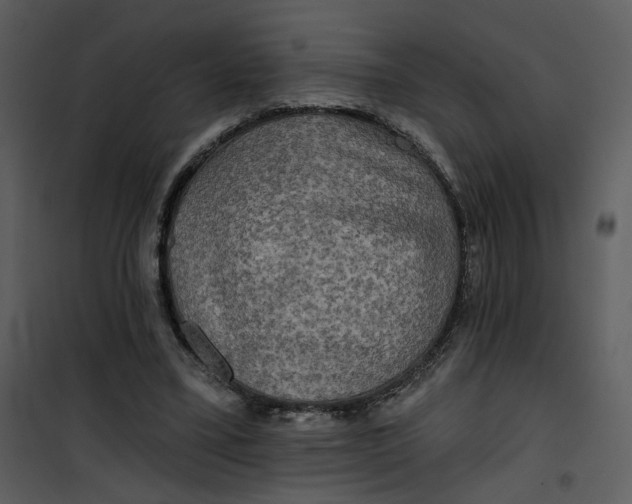 X0000101160395200807181404