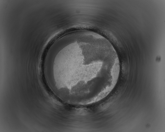 X0000101160396200807181404