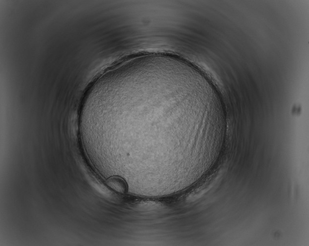 X0000101160397200807181404