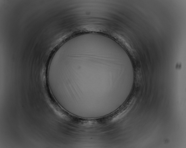 X0000101160398200807181404