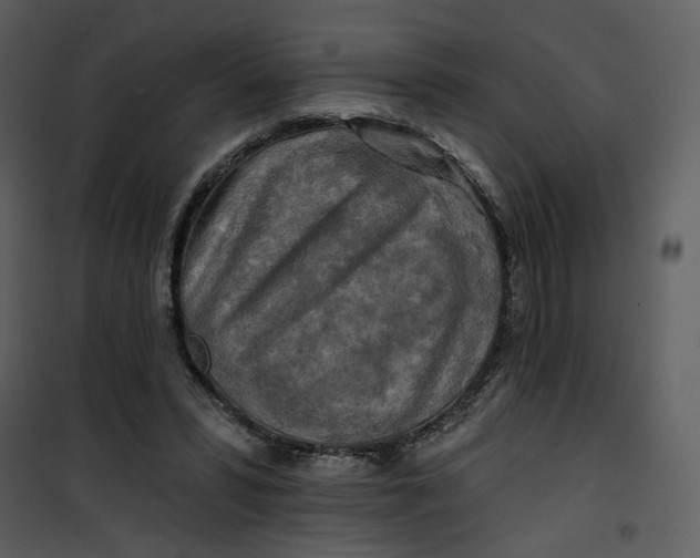 X0000101160399200807181404