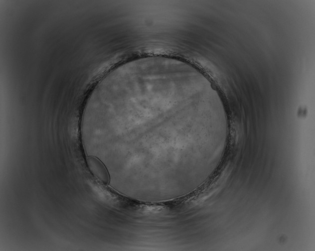 X0000101160401200807181404