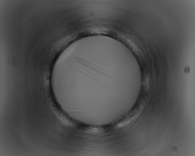 X0000101160402200807181404