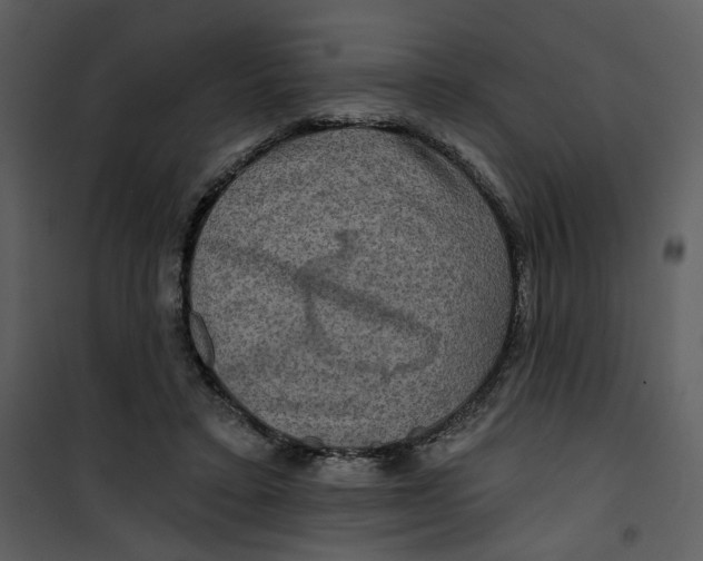 X0000101160403200807181404