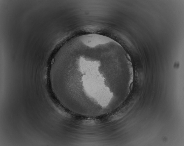X0000101160404200807181404