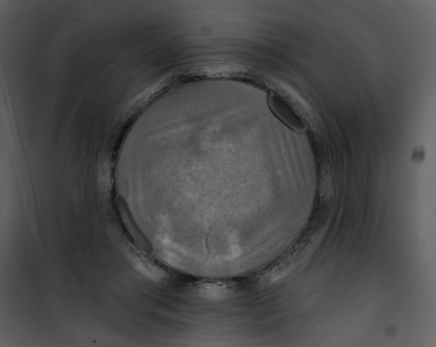 X0000101160405200807181404