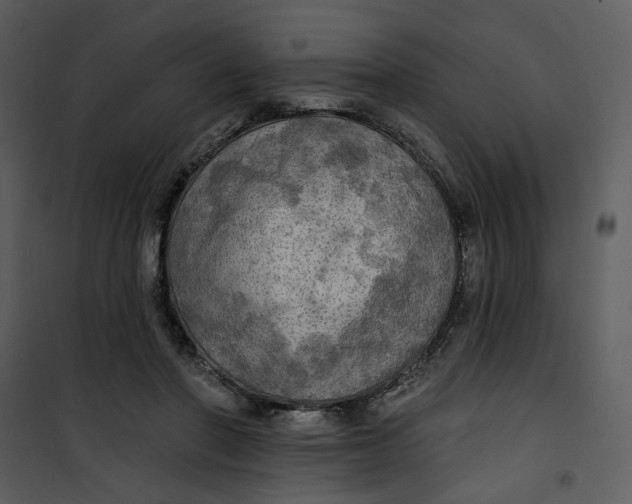 X0000101160406200807181404