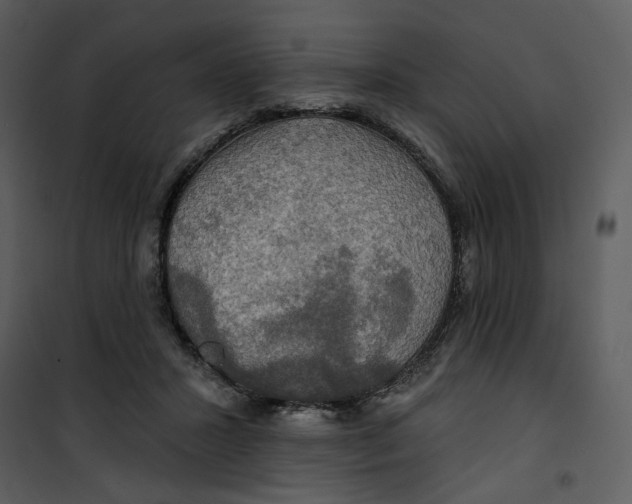 X0000101160407200807181404