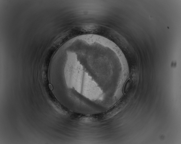 X0000101160408200807181404