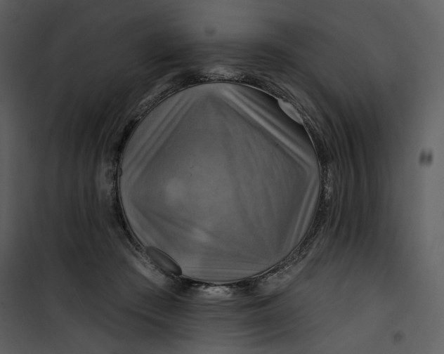X0000101160409200807181404