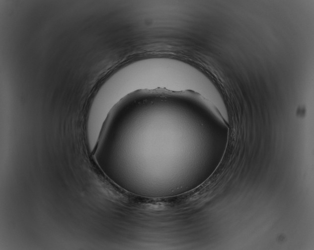 X0000101160411200807181404