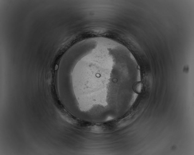 X0000101160412200807181404