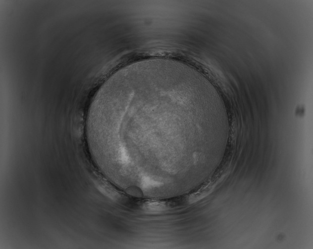 X0000101160413200807181403