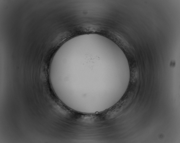 X0000101160414200807181403