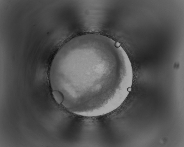 X0000101160415200807181403
