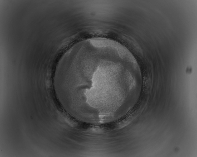 X0000101160416200807181403