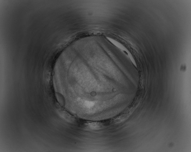 X0000101160417200807181403