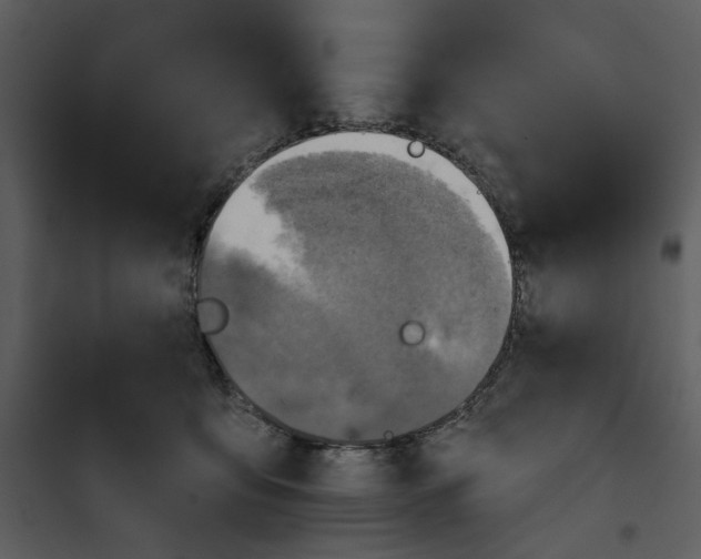 X0000101160419200807181403