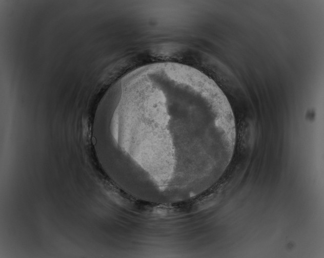 X0000101160420200807181403